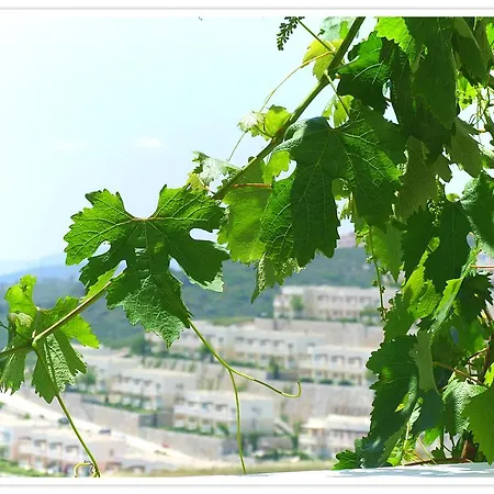 Apartament Adastra Holiday Homes Bodrum Flamingo